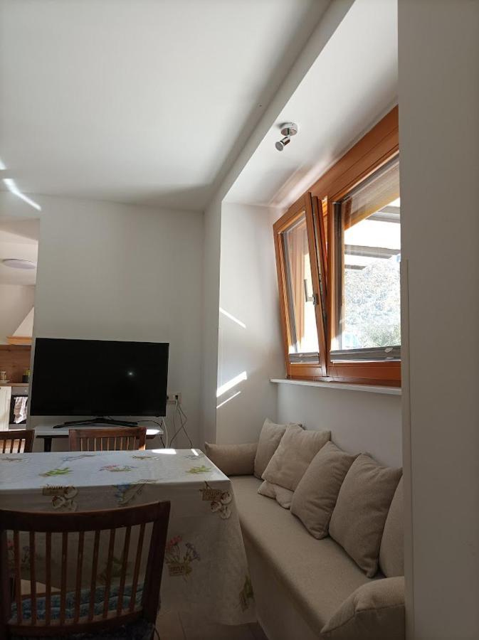 Apartment Oasis *